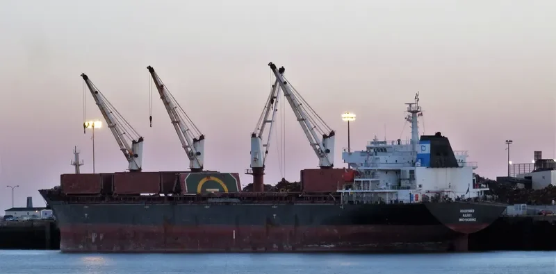 ROADRUNNER Bulk Carrier IMO 9438042 photo 3