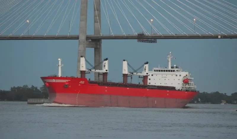 DELPHI RANGER Bulk Carrier IMO 9438054