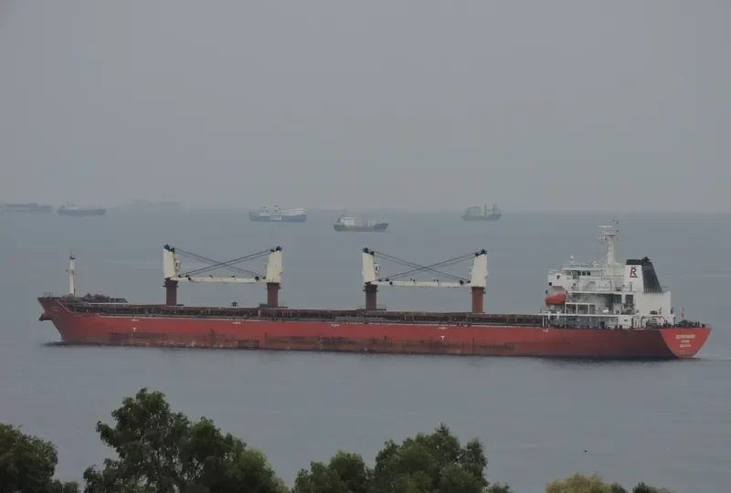 DELPHI RANGER Bulk Carrier IMO 9438054 photo 5