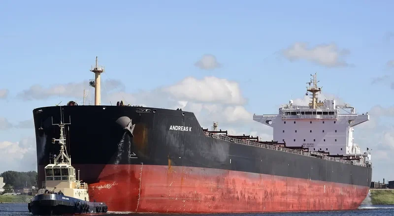 ANDREAS K Bulk Carrier IMO 9438121 photo 9
