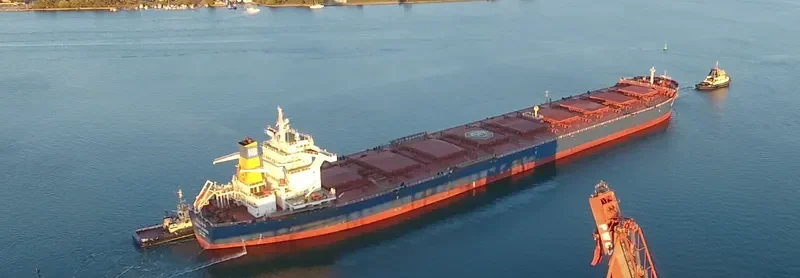 HEBEI LEGEND Bulk Carrier IMO 9438470 photo 2