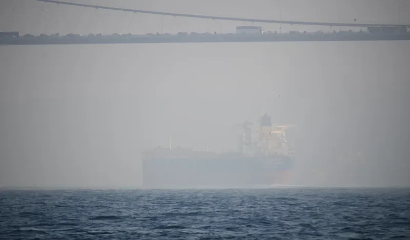 HEBEI LEGEND Bulk Carrier IMO 9438470 photo 5