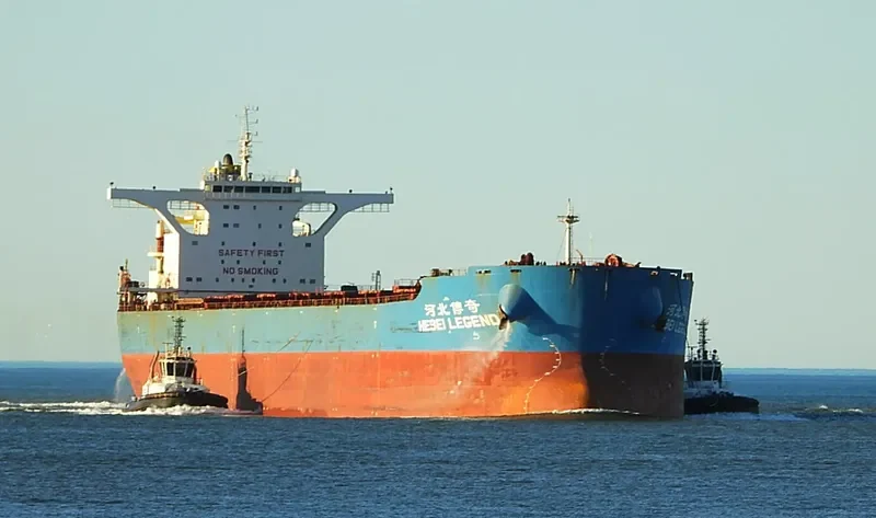 HEBEI LEGEND Bulk Carrier IMO 9438470 photo 9