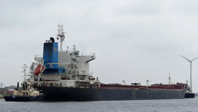 GOLDEN BRILLIANT Bulk Carrier IMO 9438638 photo 5