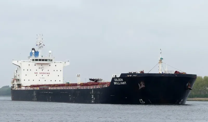 GOLDEN BRILLIANT Bulk Carrier IMO 9438638 photo 6