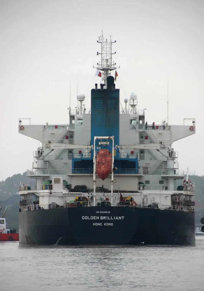 GOLDEN BRILLIANT Bulk Carrier IMO 9438638 photo 9