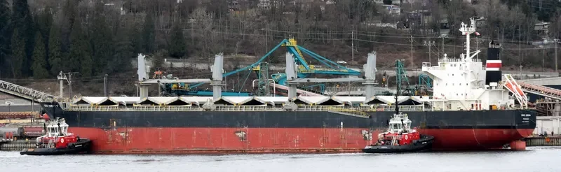 PVT DIAMOND Bulk Carrier IMO 9438640 photo 5