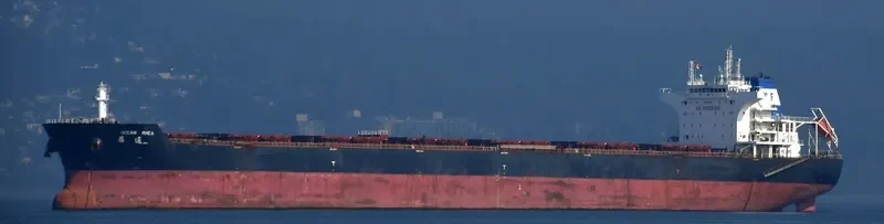 OCEAN RHEA Bulk Carrier IMO 9438729 photo 4