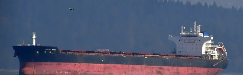 OCEAN RHEA Bulk Carrier IMO 9438729 photo 5