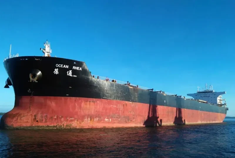 OCEAN RHEA Bulk Carrier IMO 9438729 photo 10