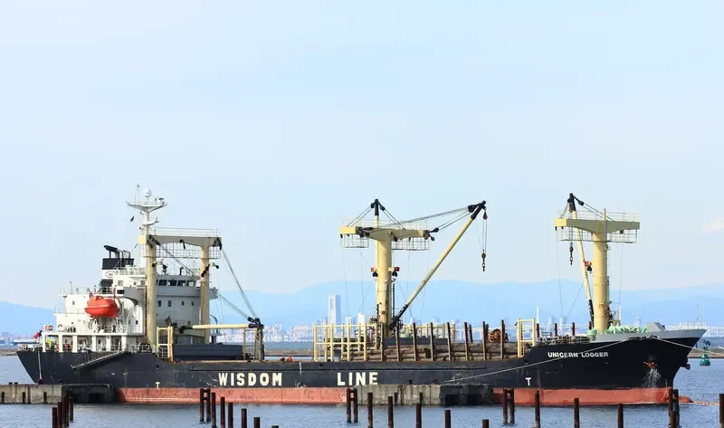 UNICORN LOGGER General Cargo IMO 9438810 photo 6