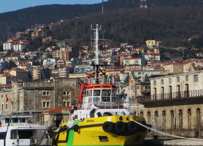 SPICA General Cargo IMO 9438951 photo 9