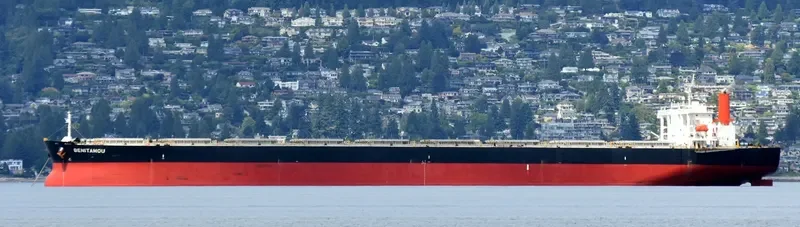 BENITAMOU Bulk Carrier IMO 9439046 photo 3