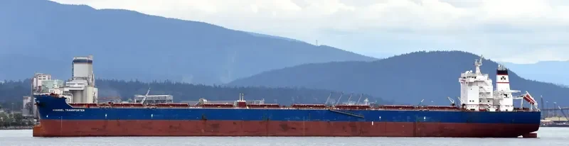 ANANGEL TRANSPORTER Bulk Carrier IMO 9439060 photo 2