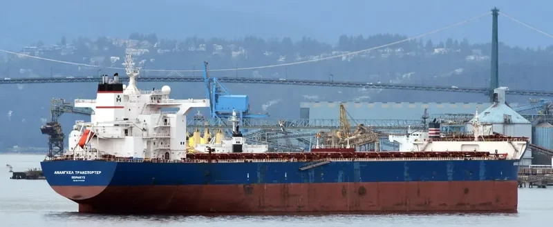 ANANGEL TRANSPORTER Bulk Carrier IMO 9439060 photo 4
