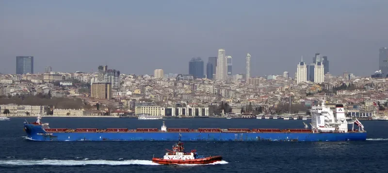 ANANGEL MARINER Bulk Carrier IMO 9439072 photo 9