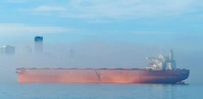BERGE ATLAS Bulk Carrier IMO 9439113 photo 8