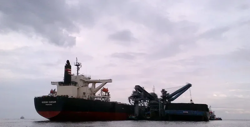 OCEAN CAESAR Bulk Carrier IMO 9439125 photo 9