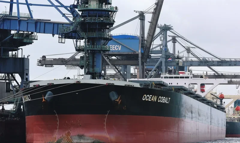 OCEAN COBALT Bulk Carrier IMO 9439137