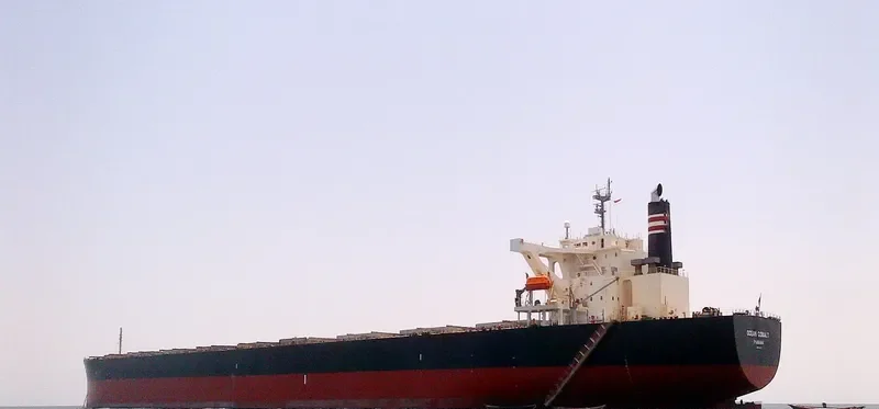 OCEAN COBALT Bulk Carrier IMO 9439137 photo 5