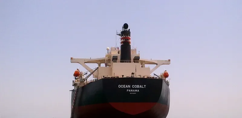 OCEAN COBALT Bulk Carrier IMO 9439137 photo 6