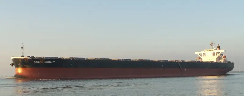 OCEAN COBALT Bulk Carrier IMO 9439137 photo 9