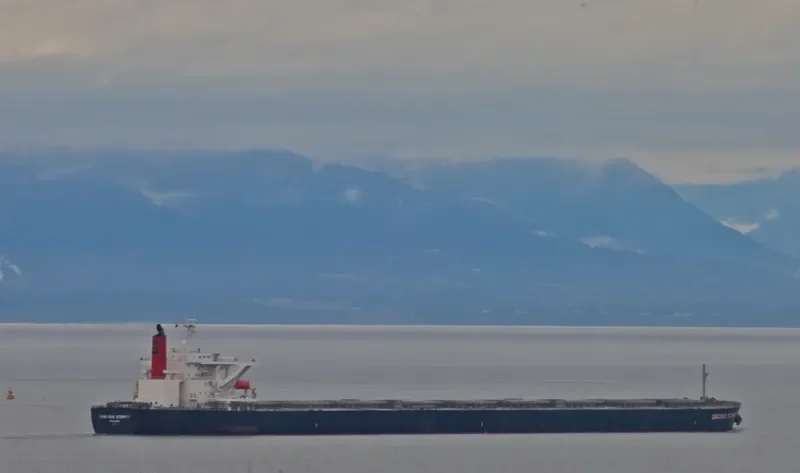 GRACIOUS ETERNITY Bulk Carrier IMO 9439149 photo 10