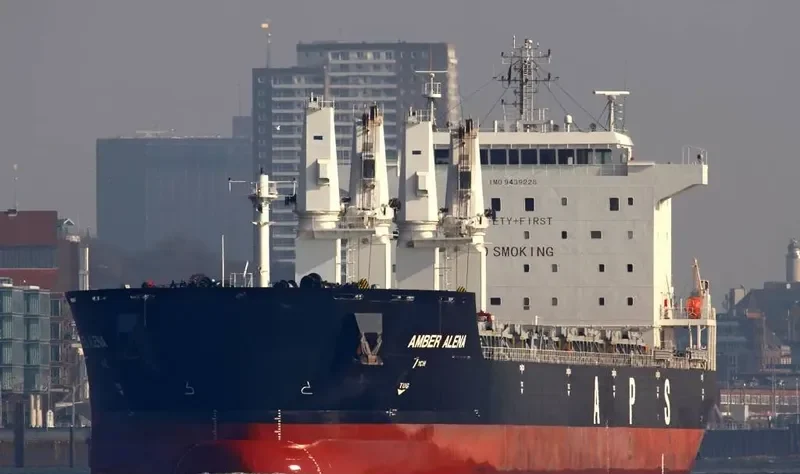ZHONG CHANG 508 Bulk Carrier IMO 9439228 photo 6