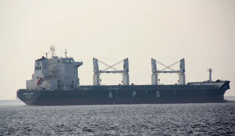 ZHONG CHANG 508 Bulk Carrier IMO 9439228 photo 9