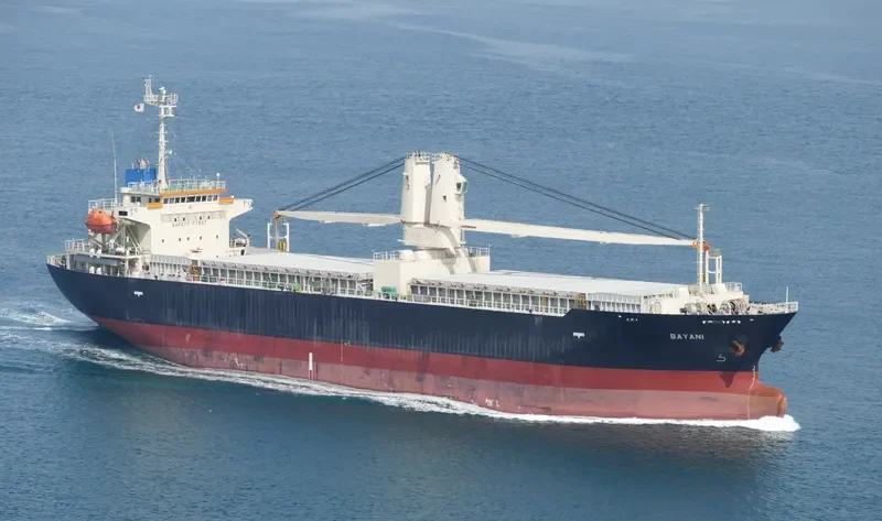 BAYANI General Cargo IMO 9439436 photo 2