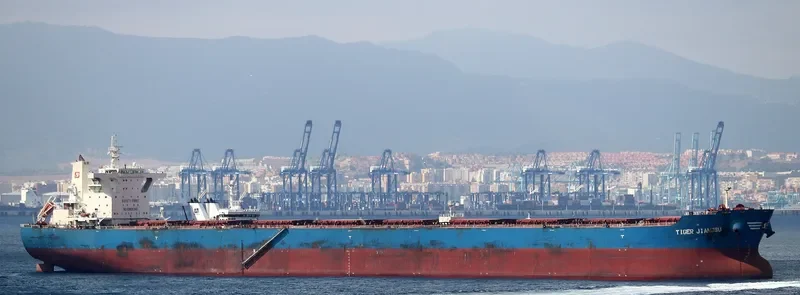 TIGER JIANGSU Bulk Carrier IMO 9439589