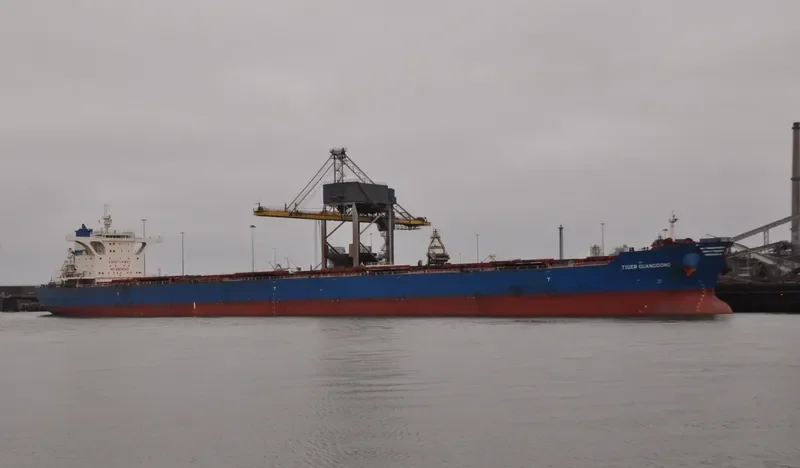 TIGER GUANGDONG Bulk Carrier IMO 9439606 photo 5