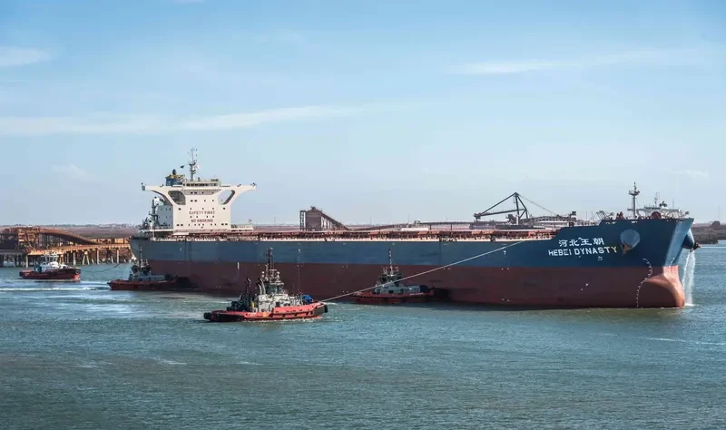 HEBEI DYNASTY Bulk Carrier IMO 9439618