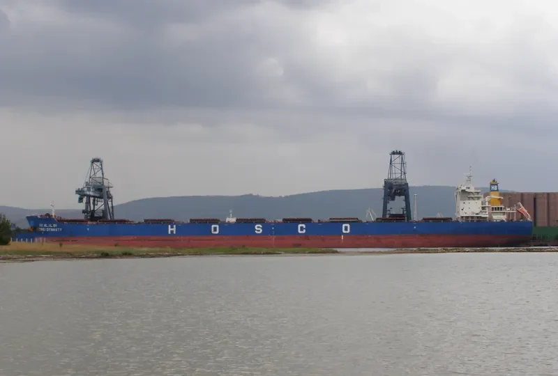 HEBEI DYNASTY Bulk Carrier IMO 9439618 photo 4