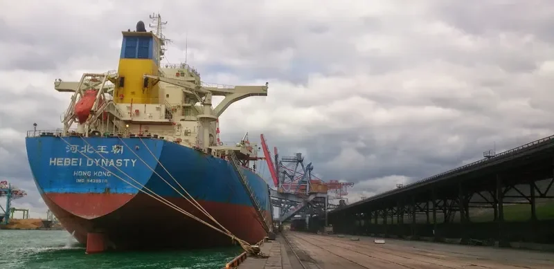 HEBEI DYNASTY Bulk Carrier IMO 9439618 photo 5
