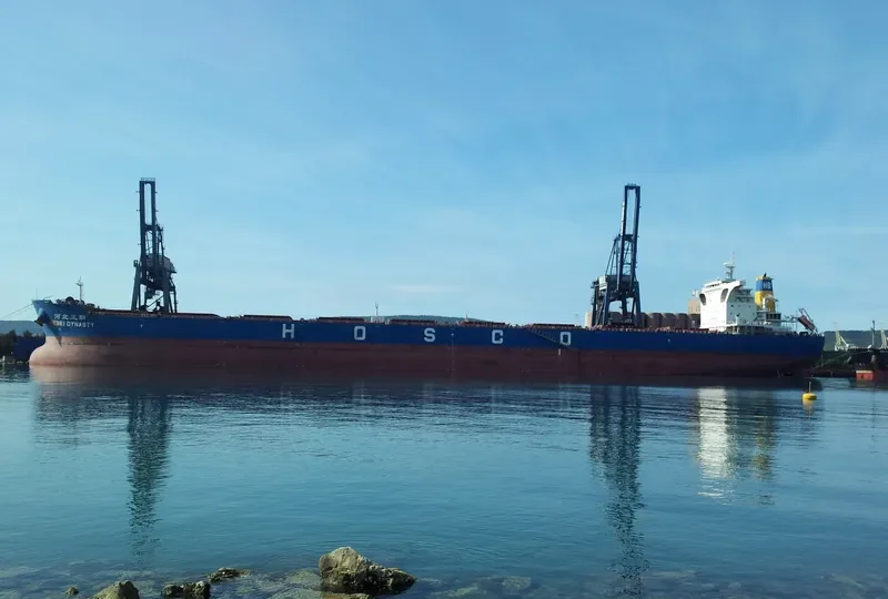 HEBEI DYNASTY Bulk Carrier IMO 9439618 photo 6
