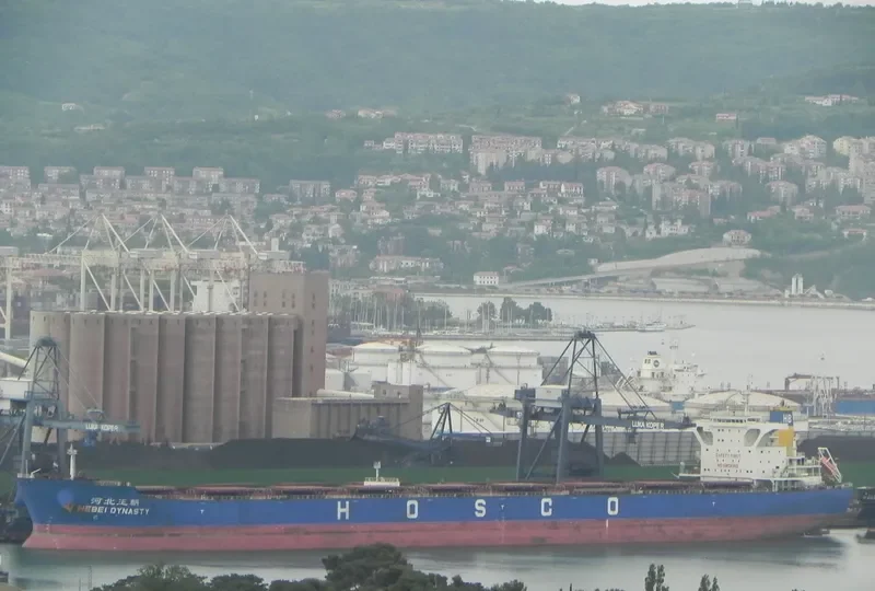 HEBEI DYNASTY Bulk Carrier IMO 9439618 photo 7