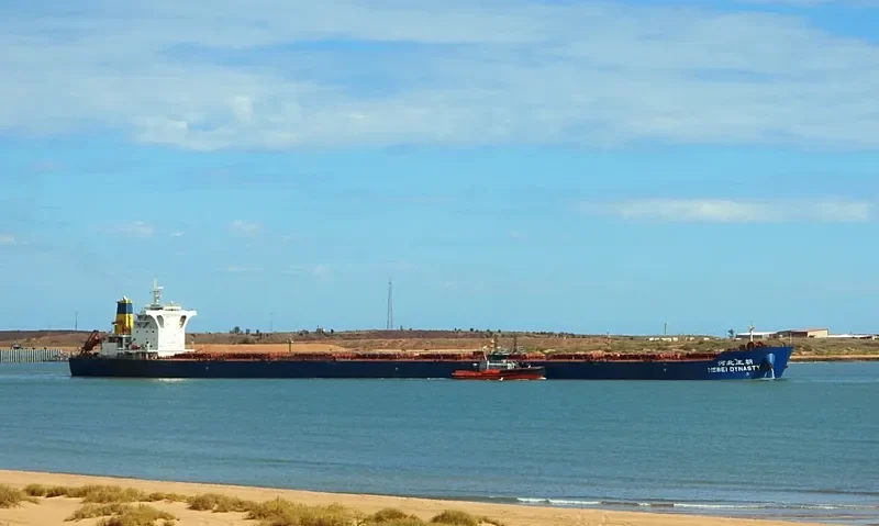 HEBEI DYNASTY Bulk Carrier IMO 9439618 photo 9