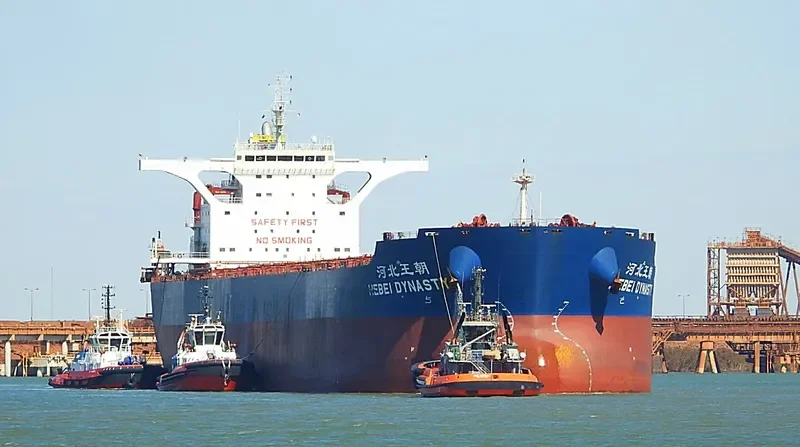 HEBEI DYNASTY Bulk Carrier IMO 9439618 photo 10