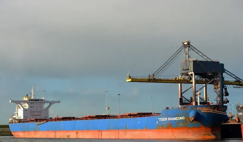 BARBARIAN HONOR Bulk Carrier IMO 9439620 photo 2