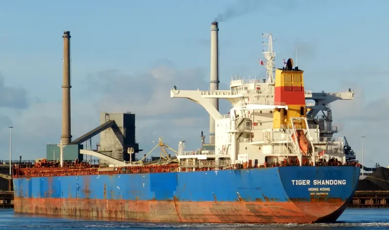 BARBARIAN HONOR Bulk Carrier IMO 9439620 photo 4