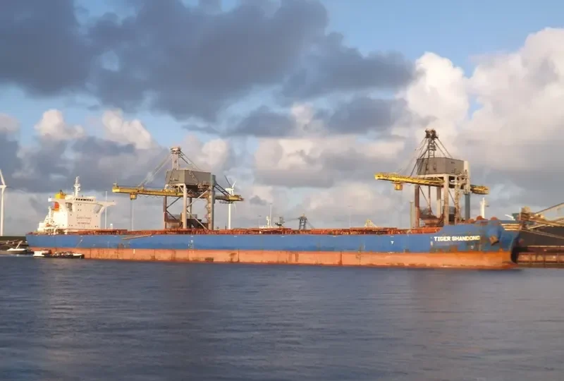 BARBARIAN HONOR Bulk Carrier IMO 9439620 photo 6