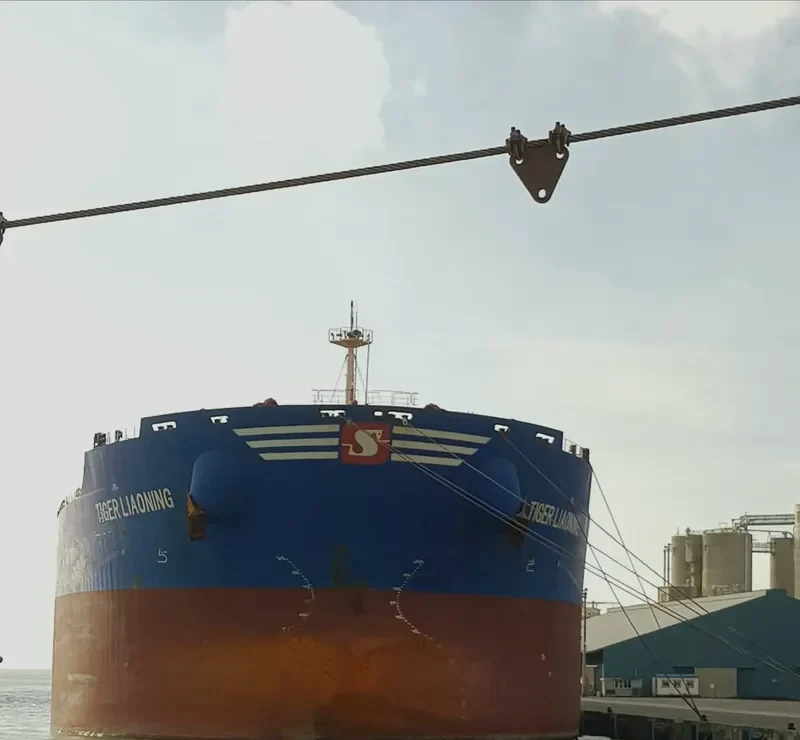 CAPE SPRING Bulk Carrier IMO 9439644 photo 6