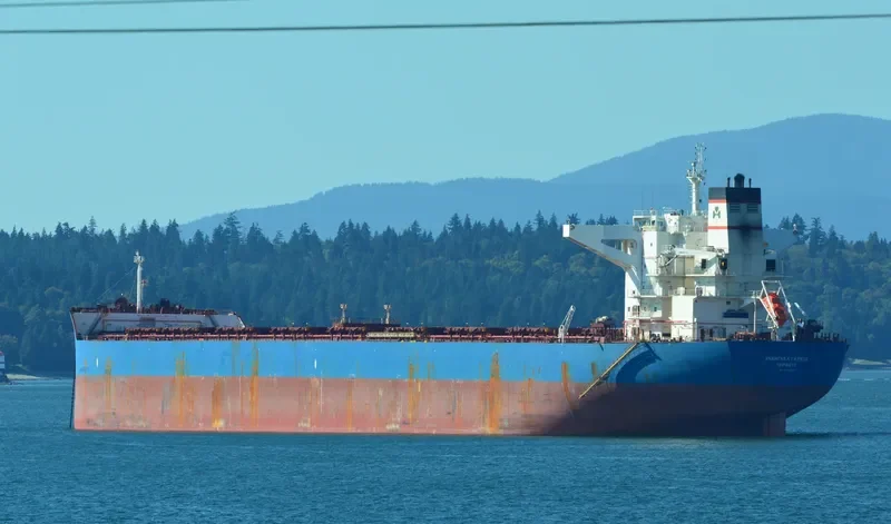 ANANGEL GRACE Bulk Carrier IMO 9440320