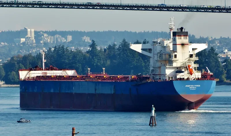 ANANGEL GRACE Bulk Carrier IMO 9440320 photo 3