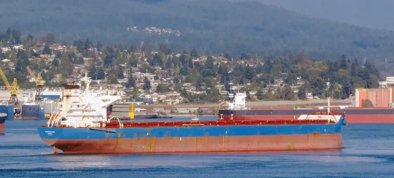 ANANGEL GRACE Bulk Carrier IMO 9440320 photo 5