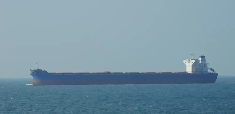 ANANGEL GRACE Bulk Carrier IMO 9440320 photo 6