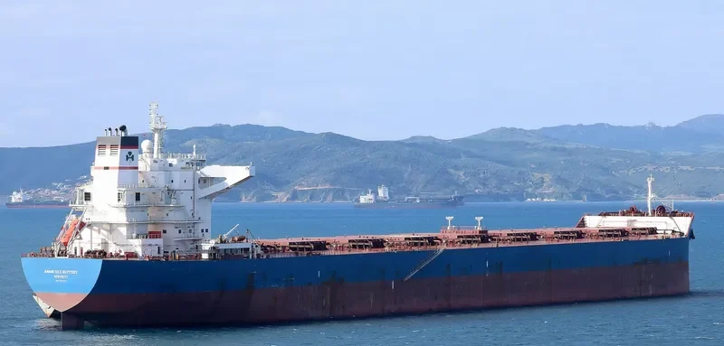 ANANGEL VIRTUE Bulk Carrier IMO 9440332