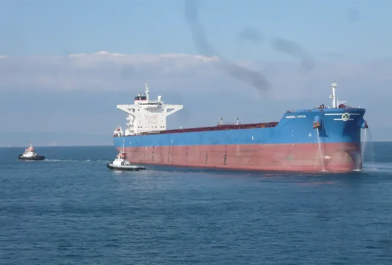 ANANGEL VIRTUE Bulk Carrier IMO 9440332 photo 4