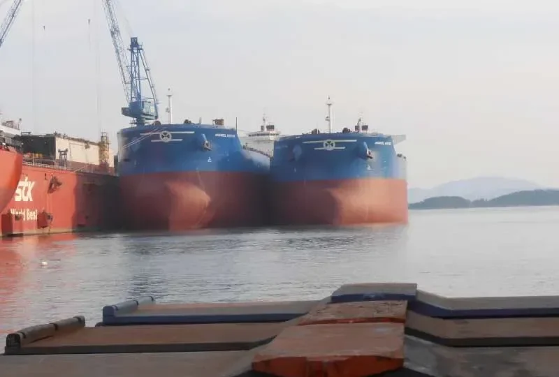ANANGEL VIRTUE Bulk Carrier IMO 9440332 photo 7